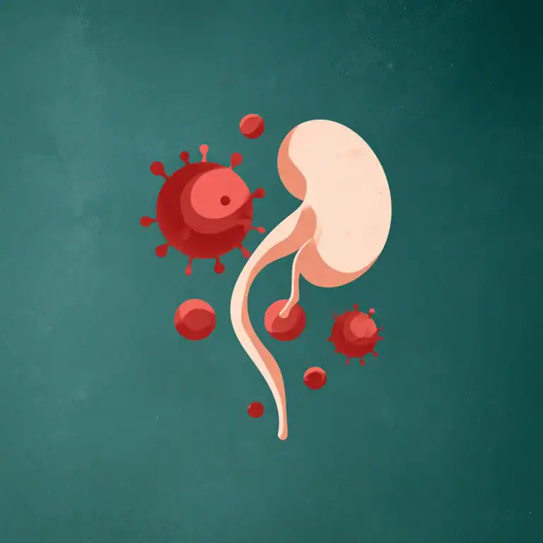 ilustração infecção urinária