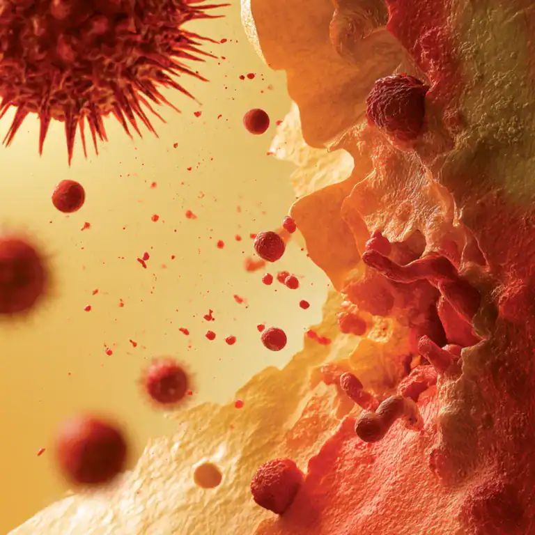 microrganismos infecção de pele